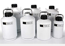 CGOLDENWALL 16L di azoto liquido serbatoio per congelazioni con 3 secchi