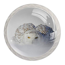 Snowbird 4 PCS Pomelli per Porta, Pomolo per Mobile, Pomelli per Mobili con Viti, Maniglia per Armadietto, Pomelli per Porta, Pomelli per Cassetti per Porta, Armadio, Cassetto e Credenza