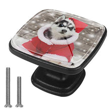 Siberian Husky Puppy in New Year's and Christmas Costume Pomelli per Porta Set di 4 Pomelli per Mobili Manopole per Cassetti Cucina Armadio Vetro