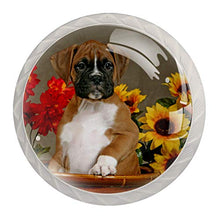 Maniglie per cassetti Manopole per cassetti Manopole rotonde Confezione da 4 per armadietto, cassetti, cassettiere, cassettiere ecc - fiore di cane