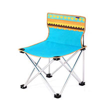 TOL Sedia Pieghevole Portatile per Adulti Sedia da Prato all'aperto con Custodia da Tasca da Tasca per Carry Bag Bag Giocatore PEDIA Piatta PIASTURA Assistenza Pesante Duty Duty Supporto 220 LBS