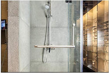 Maniglioni da Bagno Bagno Porta Vetro Garb Bar Antiscivolo ringhiera in Acciaio Inox Verticale Maniglia Doccia in Camera corrimano di Sicurezza Anti-Static Accessori da Bagno