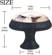 Bulldog francese Lovely Brown Pomelli per Porta Set di 4 Pomelli per Mobili Manopole per Cassetti Cucina Armadio Vetro