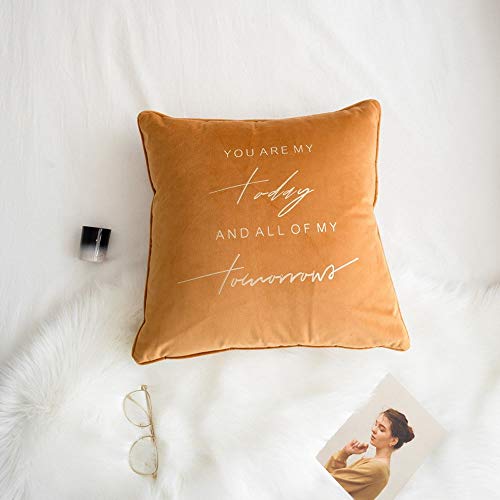 JKHOIUH Semplice Cuscino in Velluto Dorato con Cuscini in Velluto, Cuscini Decorativi con Cuscino Decorativo (Colore : Arancia, Size : 45x45 Pillowcase)