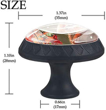 Red Squirrel Pomelli per Porta Set di 4 Pomelli per Mobili Manopole per Cassetti Cucina Armadio Vetro