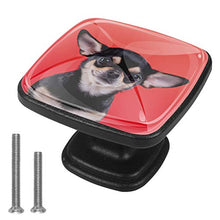 Bellissimo cane chihuahua Pomelli per Porta Set di 4 Pomelli per Mobili Manopole per Cassetti Cucina Armadio Vetro