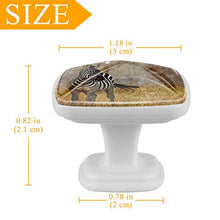 Zebra retrò 4 PCS Pomelli per Porta, Pomolo per Mobile, Pomelli per Mobili con Viti, Maniglia per Armadietto, Pomelli per Porta, Pomelli per Cassetti per Porta, Armadio, Cassetto e Credenza