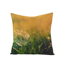Federe Cuscini Divano 45X45,Fodere Per Cuscini Con Stampa Di Foglie Verdi Di Piante Tropicali Nordiche, Fodere Per Cuscini Lombari Per Divano Da Soggiorno Per Ufficio, Decorazioni Per La Casa Set Di 4