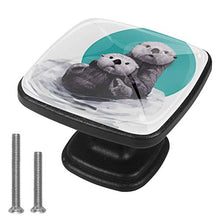 Lontra di mare carino Pomelli per Porta Set di 4 Pomelli per Mobili Manopole per Cassetti Cucina Armadio Vetro