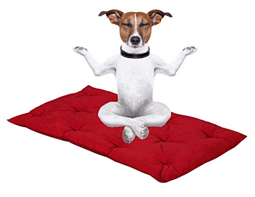 Evergreenweb - Letto per Cani 65x85 Alto 8 cm Lavabile Materasso Multiuso per Animali Domestici Cuscino Ortopedico in Waterfoam Cuccia Tappeto Sofa Imbottitura 100% Fiocco Effetto Piuma Tessuto Rosso