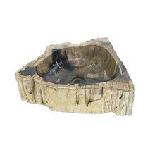 Lavabo da bagno, in legno fossilizzato, 40 – 50 cm, scelta su foto
