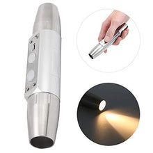 FEBT Luce per l'identificazione dei Gioielli, Torcia per Il rilevamento dei Gioielli a 4 luci, Durevole, Resistente, Pratica per Il Controllo, identificazione dei Gioielli, Gioielli,