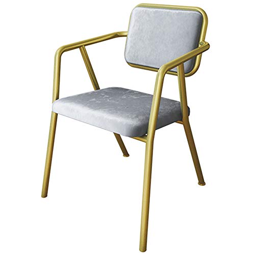 Sedie da pranzo Sedia da cucina Sedia da salotto Sedia imbottita con braccioli, Sedia moderna in flanella Sedia da pranzo Sedia da pranzo in legno, Soggiorno, Sala da pranzo, Hotel, Cucina,Grey