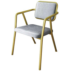 Sedie da pranzo Sedia da cucina Sedia da salotto Sedia imbottita con braccioli, Sedia moderna in flanella Sedia da pranzo Sedia da pranzo in legno, Soggiorno, Sala da pranzo, Hotel, Cucina,Grey