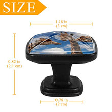 Set di 4 pezzi con maniglia quadrata per armadio da cucina, credenza, cassettiera, cassettiera, con viti, per cucina, comò, armadietto, bagno, armadio a tre giraffe