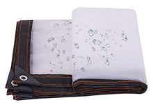 GJJSZ Copertura in Tela Cerata,teloni Trasparenti Resistenti all'Acqua,5 Mil di Spessore Impermeabile Resistente ai Raggi UV e Tela Cerata antistrappo con Occhielli e Bordi rinforzati