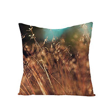 Federe Cuscini Divano 45X45,Fodere Per Cuscini Con Stampa Di Foglie Verdi Di Piante Tropicali Nordiche, Fodere Per Cuscini Lombari Per Divano Da Soggiorno Per Ufficio, Decorazioni Per La Casa Set Di 4