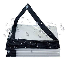 ZXHQ Telone Impermeabile per Esterno Trasparente 2x3m, Teloni Rinforzati Trasparente Impermeabili, Telo Trasparente Impermeabili, Anti Strappo per Serra Carport Gazebo