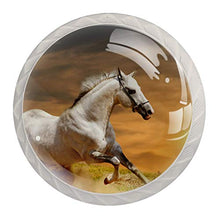 cavallo bianco 4 PCS Pomelli per Porta, Pomolo per Mobile, Pomelli per Mobili con Viti, Maniglia per Armadietto, Pomelli per Porta, Pomelli per Cassetti per Porta, Armadio, Cassetto e Credenza