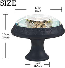 Cranio in piume indiane Pomelli per Porta Set di 4 Pomelli per Mobili Manopole per Cassetti Cucina Armadio Vetro