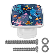 Vita marina (3) 4 PCS Pomelli per Porta, Pomolo per Mobile, Pomelli per Mobili con Viti, Maniglia per Armadietto, Pomelli per Porta, Pomelli per Cassetti per Porta, Armadio, Cassetto e Credenza