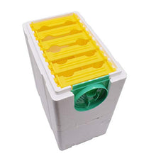 kdjsic Multi-Funzionale Queen Bee Hive Materiale Schiuma di Plastica Scatola Doppia Queen Allevamento Alveare Strumento di Apicoltura Nido d'Ape