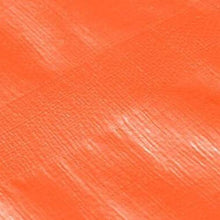 Vele parasole LQ Tela Cerata Tarpaulin Tarpaulin Imbottitura Impermeabile Parasole per Esterni Tela per Camion Tarpaulin Tricycle Rain Vine Cloth (Size : 4 * 6m)