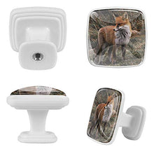 Volpe animale 4 PCS Pomelli per Porta, Pomolo per Mobile, Pomelli per Mobili con Viti, Maniglia per Armadietto, Pomelli per Porta, Pomelli per Cassetti per Porta, Armadio, Cassetto e Credenza