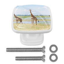Giraffa Africa 4 PCS Pomelli per Porta, Pomolo per Mobile, Pomelli per Mobili con Viti, Maniglia per Armadietto, Pomelli per Porta, Pomelli per Cassetti per Porta, Armadio, Cassetto e Credenza