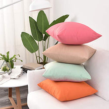 Pannow - Set di 2 federe per cuscino impermeabile per esterni, per interni, esterni, divano, in rattan, 50,8 x 50,8 cm, solo federa