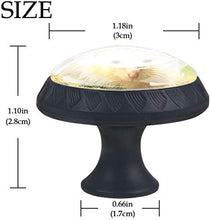 Criceto bianco natura Pomelli per Porta Set di 4 Pomelli per Mobili Manopole per Cassetti Cucina Armadio Vetro