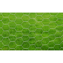cangzhoushopping Recinzione Metallica galvanizzata a Maglia Esagonale 1m x 25m 0,75mm Articoli di ferramenta Barriere e recinzioni Pannelli per recinzioni