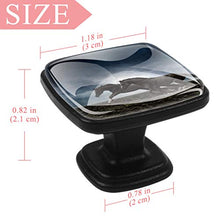 Corsa cavallo nero (3) 4 PCS Pomelli per Porta, Pomolo per Mobile, Pomelli per Mobili con Viti, Maniglia per Armadietto, Pomelli per Porta, Pomelli per Cassetti per Porta, Armadio, Cassetto e Credenza