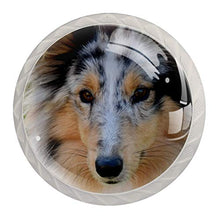 Maniglie per cassetti Manopole per cassetti Manopole rotonde Confezione da 4 per armadietto, cassetti, cassettiere, cassettiere ecc. Cane