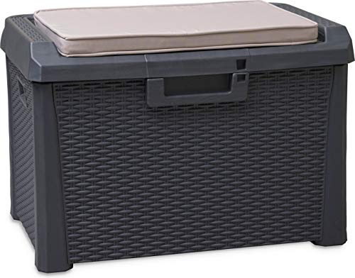 Cassapanca da giardino con 125 l, contenitore richiudibile per terrazza con cuscino, in plastica, 73 x 50,5 x 49,5 cm