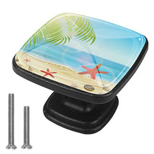 Spiaggia delle coperture delle stelle marine della palma dell'oceano Pomelli per Porta Set di 4 Pomelli per Mobili Manopole per Cassetti Cucina Armadio Vetro