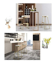 SYLOZ Sgabelli da Bar Ferro Home Bar Sgabello Moderno Bar Sedia Alta Bar Stool Bar Stool Beauty Sgabello da Bar Sedia (Color : Sitting Height65)