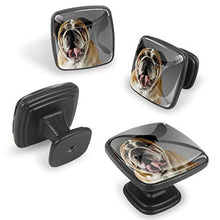 Ritratto del bulldog 4 PCS Pomelli per Porta, Pomolo per Mobile, Pomelli per Mobili con Viti, Maniglia per Armadietto, Pomelli per Porta, Pomelli per Cassetti per Porta, Armadio, Cassetto e Credenza