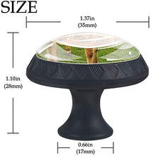 Farm Hayfield Agriculture Grass Pomelli per Porta Set di 4 Pomelli per Mobili Manopole per Cassetti Cucina Armadio Vetro