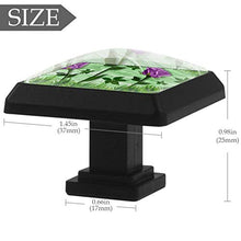 Rosa viola 3 PCS Pomelli per Porta, Pomolo per Mobile, Pomelli per Mobili con Viti, Maniglia per Armadietto, Pomelli per Porta, Pomelli per Cassetti per Porta, Armadio, Cassetto e Credenza