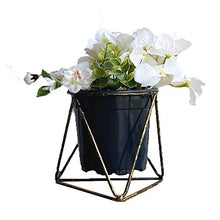 Stile Europeo Moda Creativo Luce Di Lusso Disposizione Fiore Disposizione Secchio Scaffale Stile Nordico Soggiorno Camera Da Letto Balcone Stand Fiore Stand Piatto Stand Desktop Può Tenere 4.8 Pollici