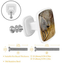 Zebra retrò 4 PCS Pomelli per Porta, Pomolo per Mobile, Pomelli per Mobili con Viti, Maniglia per Armadietto, Pomelli per Porta, Pomelli per Cassetti per Porta, Armadio, Cassetto e Credenza