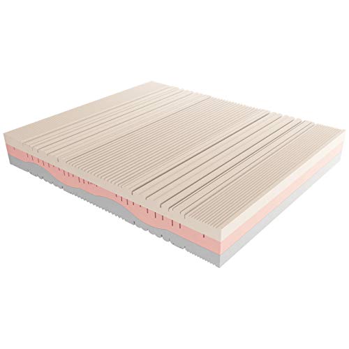 Baldiflex Emporio Materasso Matrimoniale Memory Melodia 3 Strati 170 x 190 cm Alto 23 cm - Rivestimento Sfoderabile Silver Safe
