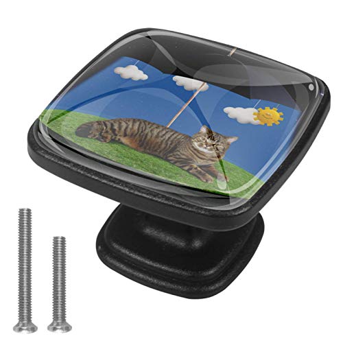 Set di 4 pezzi con maniglia quadrata per armadio da cucina, credenza, cassettiera, cassettiera, con viti, per cucina, comò, armadietto, bagno, armadio, gatto divertente