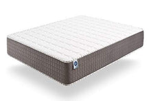 Naturalex | Extrafresh | Materasso Singolo 80x190 in Memory Foam | Tecnologia Blue Latex | Schiuma HR ultra ventilata | Tessuto SoftSentation ipoallergenico | Ergonomico | Reversibile