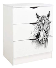 leomark Cassettiera in legno - Roma - bianca Comodino con cassetti, Armadietto per camera da letto, stile scandinavo, dimensioni: 78 (A) cm (Ritratto di un cavallo)