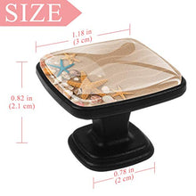 Conchiglie da spiaggia 4 PCS Pomelli per Porta, Pomolo per Mobile, Pomelli per Mobili con Viti, Maniglia per Armadietto, Pomelli per Porta, Pomelli per Cassetti per Porta, Armadio, Cassetto e Credenza
