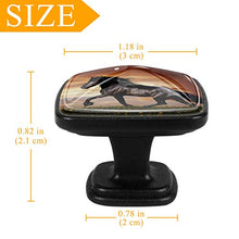 Prato del cavallo nero 4 PCS Pomelli per Porta, Pomolo per Mobile, Pomelli per Mobili con Viti, Maniglia per Armadietto, Pomelli per Porta, Pomelli per Cassetti per Porta, Armadio, Cassetto e Credenza