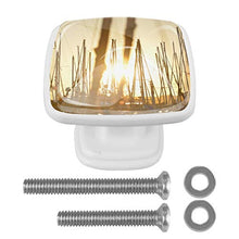 Alba del molo 4 PCS Pomelli per Porta, Pomolo per Mobile, Pomelli per Mobili con Viti, Maniglia per Armadietto, Pomelli per Porta, Pomelli per Cassetti per Porta, Armadio, Cassetto e Credenza