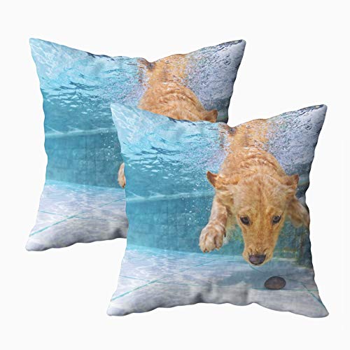 Kris.D Fodera per Federa da tiro Quadrata Giocoso Cucciolo Golden Retriever in Piscina Si diverte a Saltare Immersioni in profondità Pasqua in Entrambi i Lati Stampa Federe con Zip Fodere per Cuscini